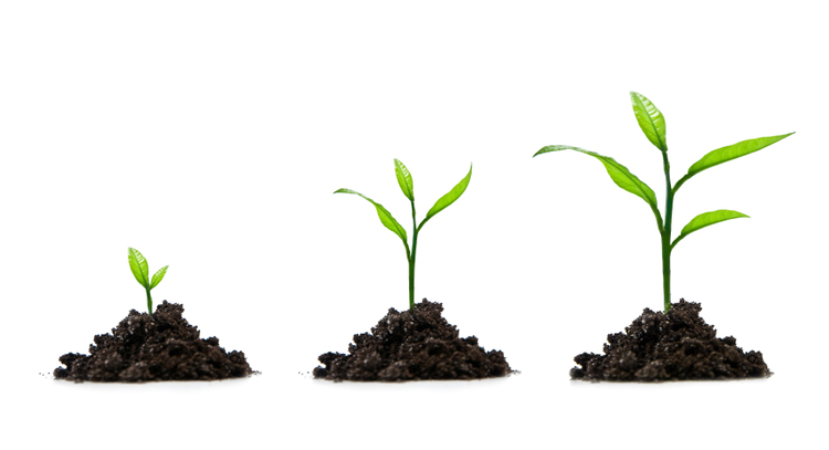 5 growth tips for scaling companies  u2013 ama with joe cross
